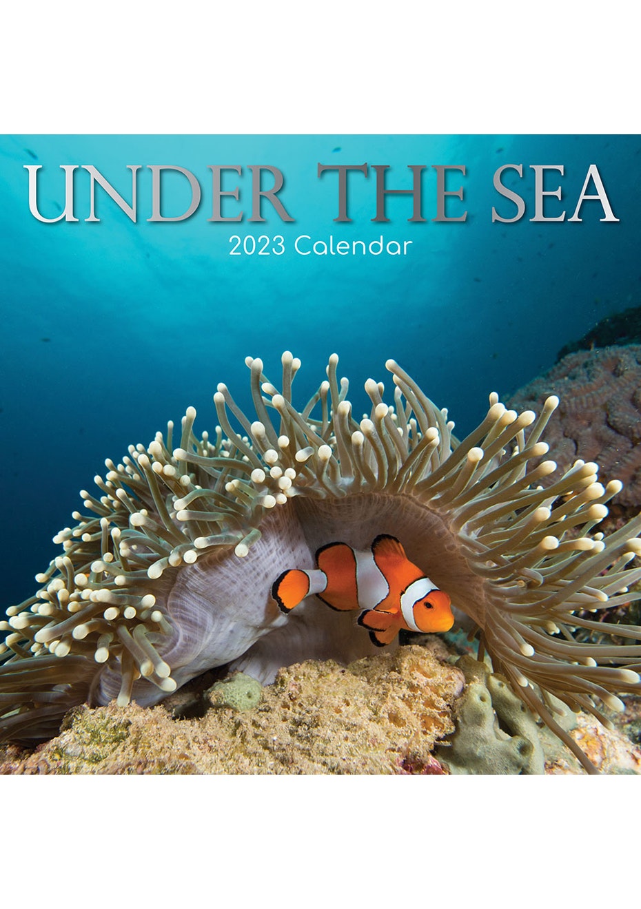 2023 Square Calendar Under The Sea - Onceit